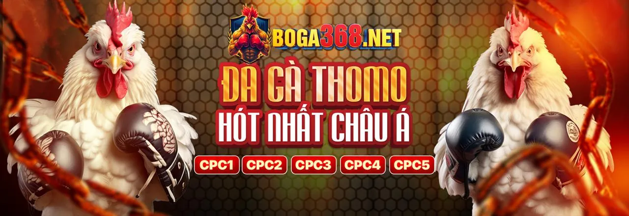 Cá cược chênh lệch