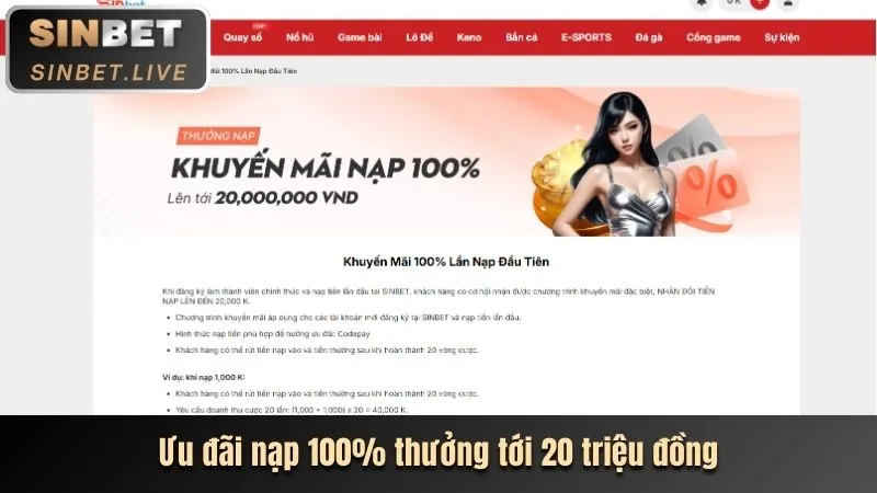 Báo cáo hiệu suất chi tiết